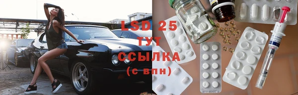 твердый Магас