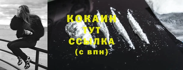 твердый Магас