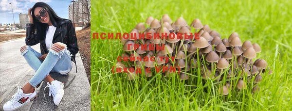 МДПВ Майский