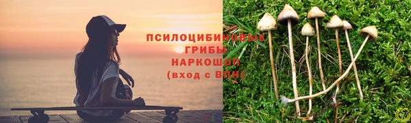 МДПВ Майский